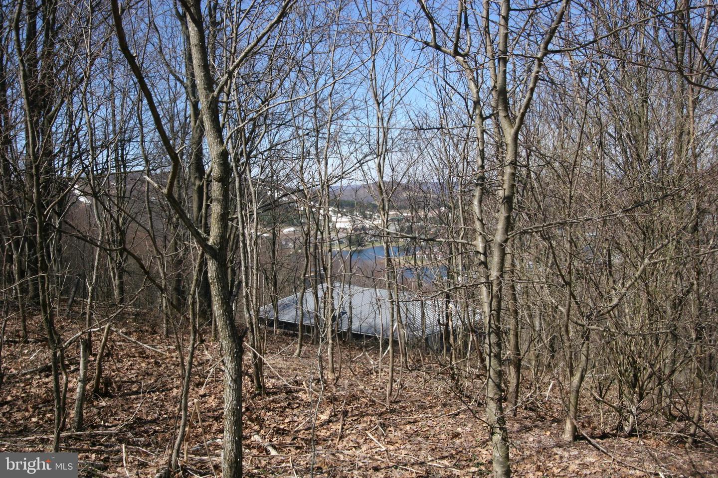 Listings for Steve Ritchie