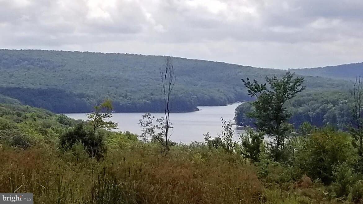 Recommended Searches