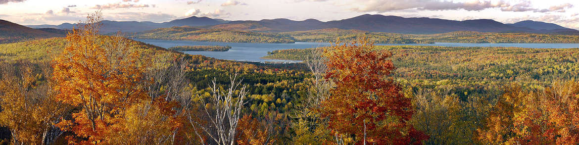 Search By Lakes