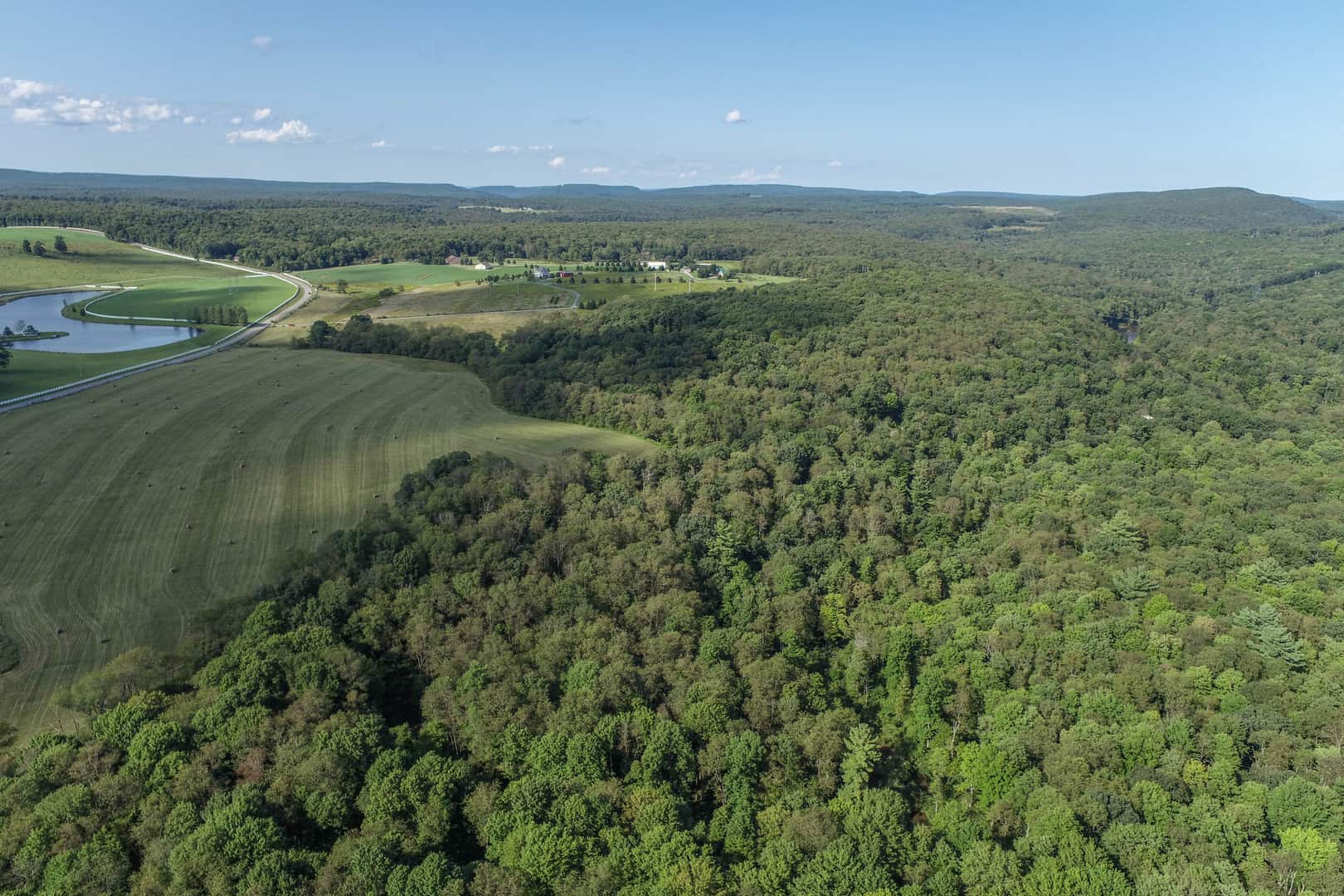 Lot & Land Properties
