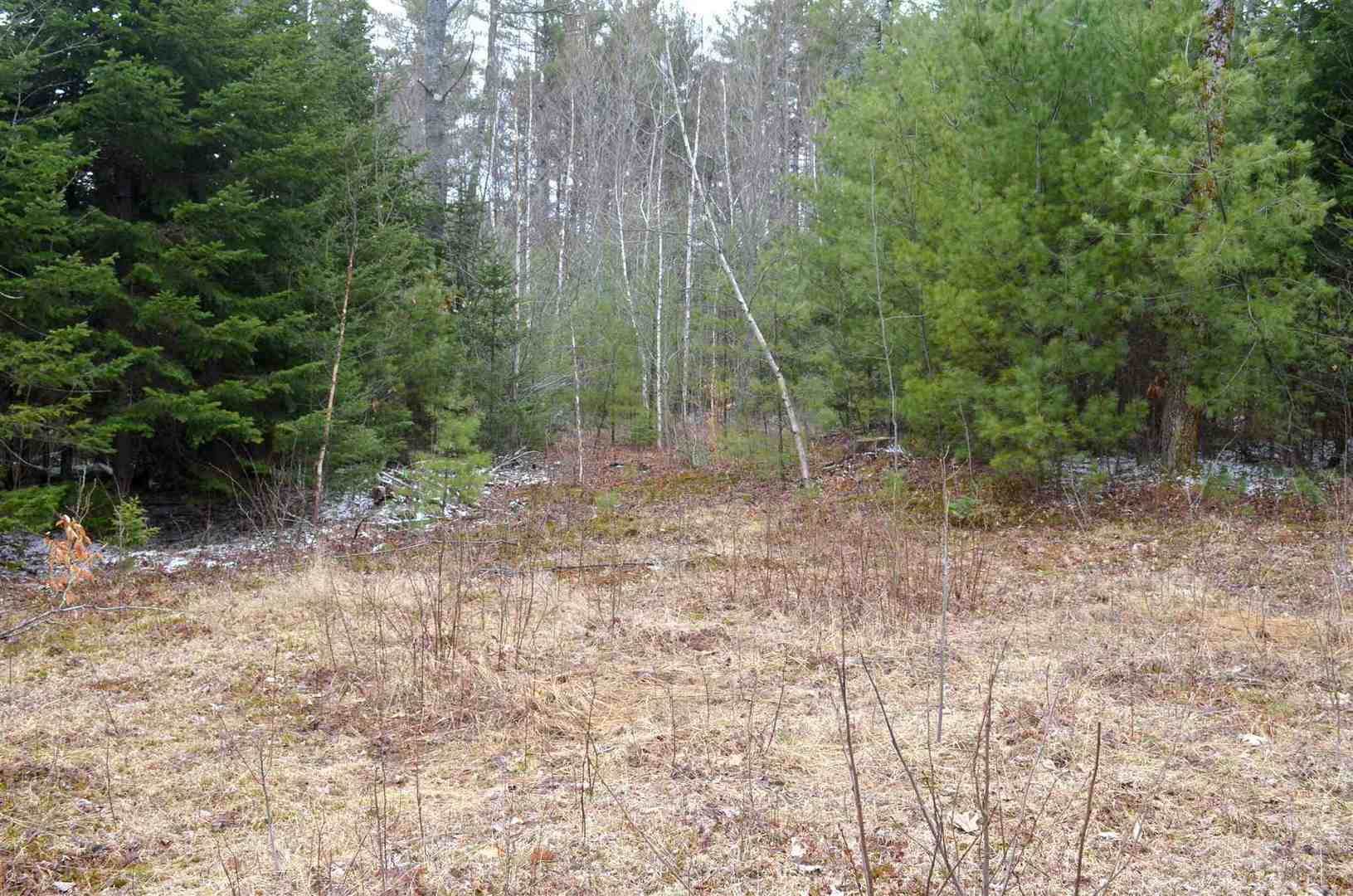 Listings for Connor Howe