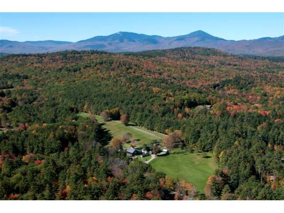 Cabins for Rent