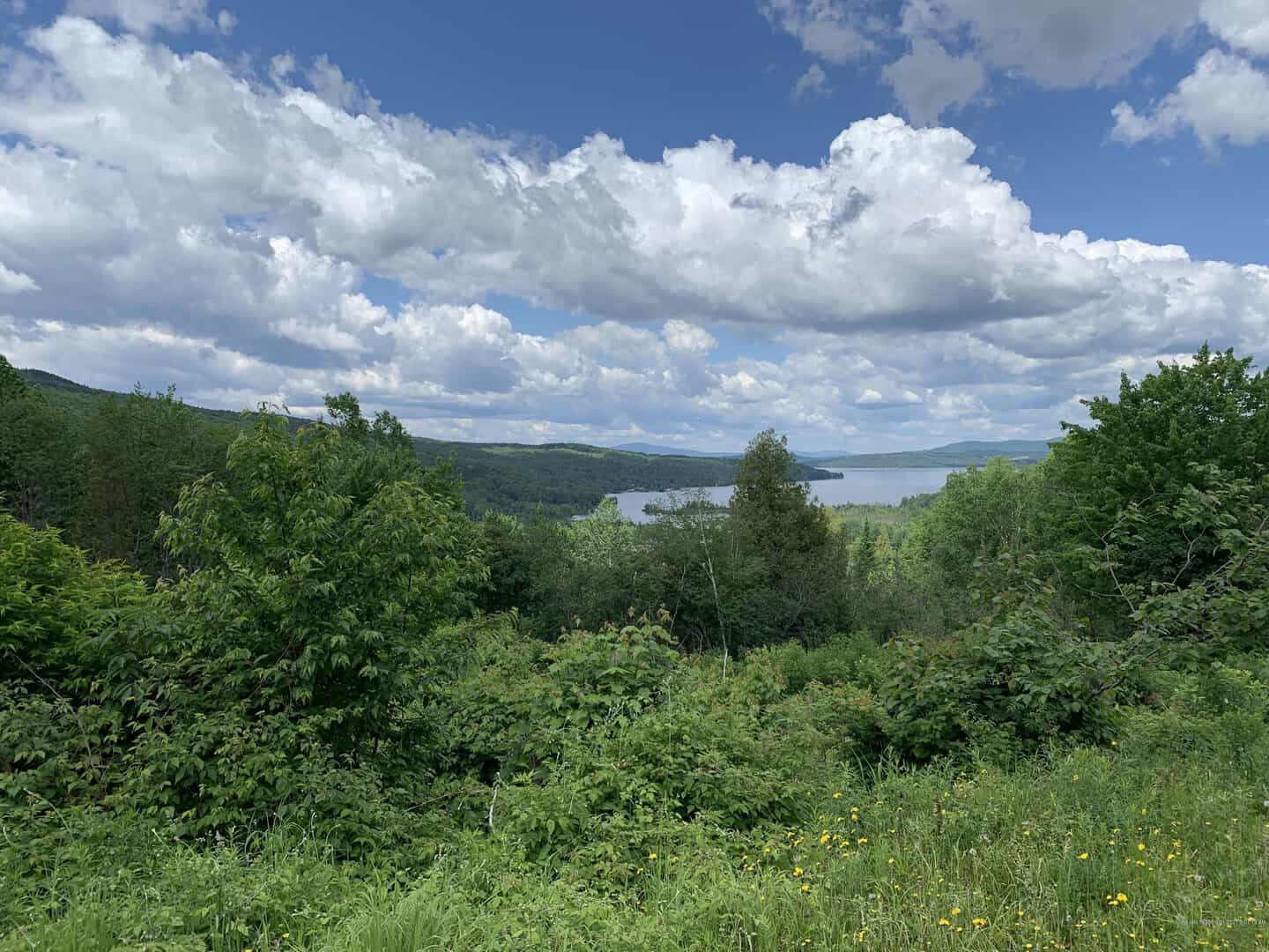 Rangeley Newly Listed Properties