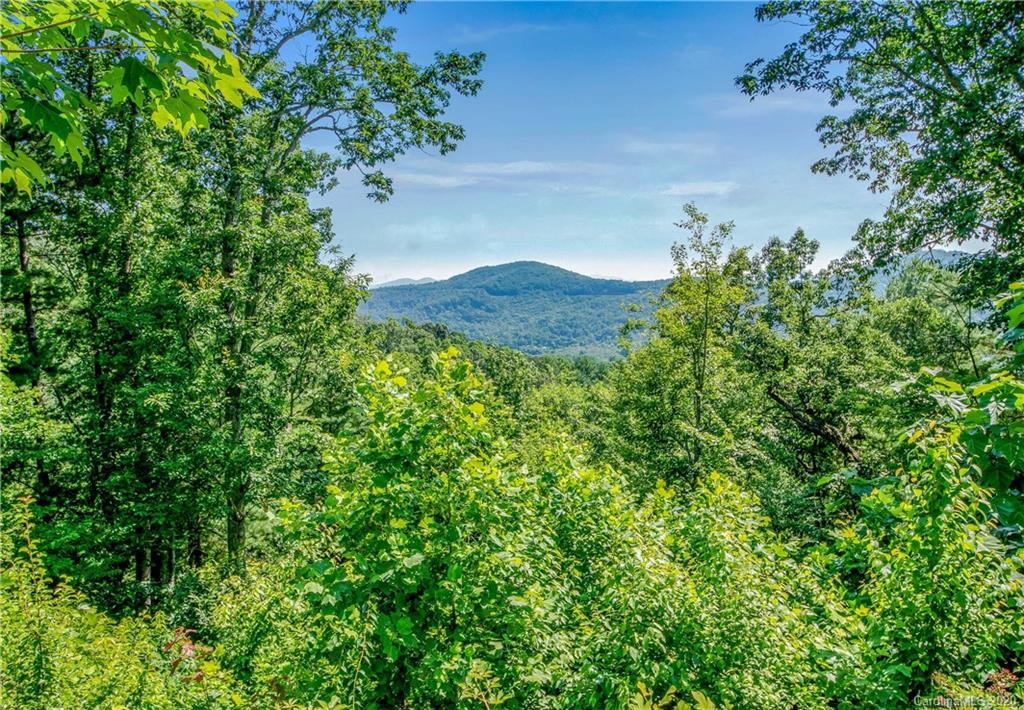 Falcon Ridge at Haw Creek