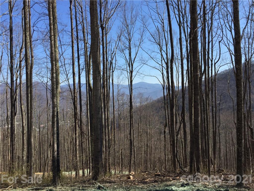 High Hickory