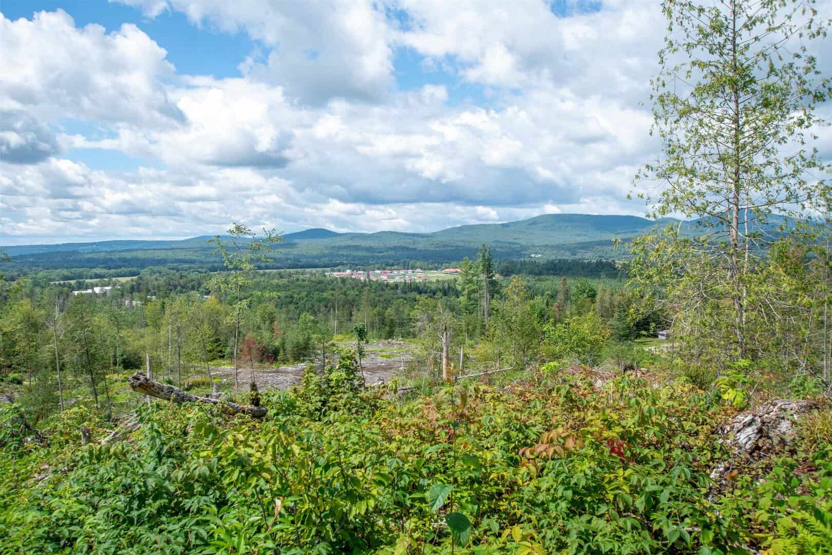 Recreational Land