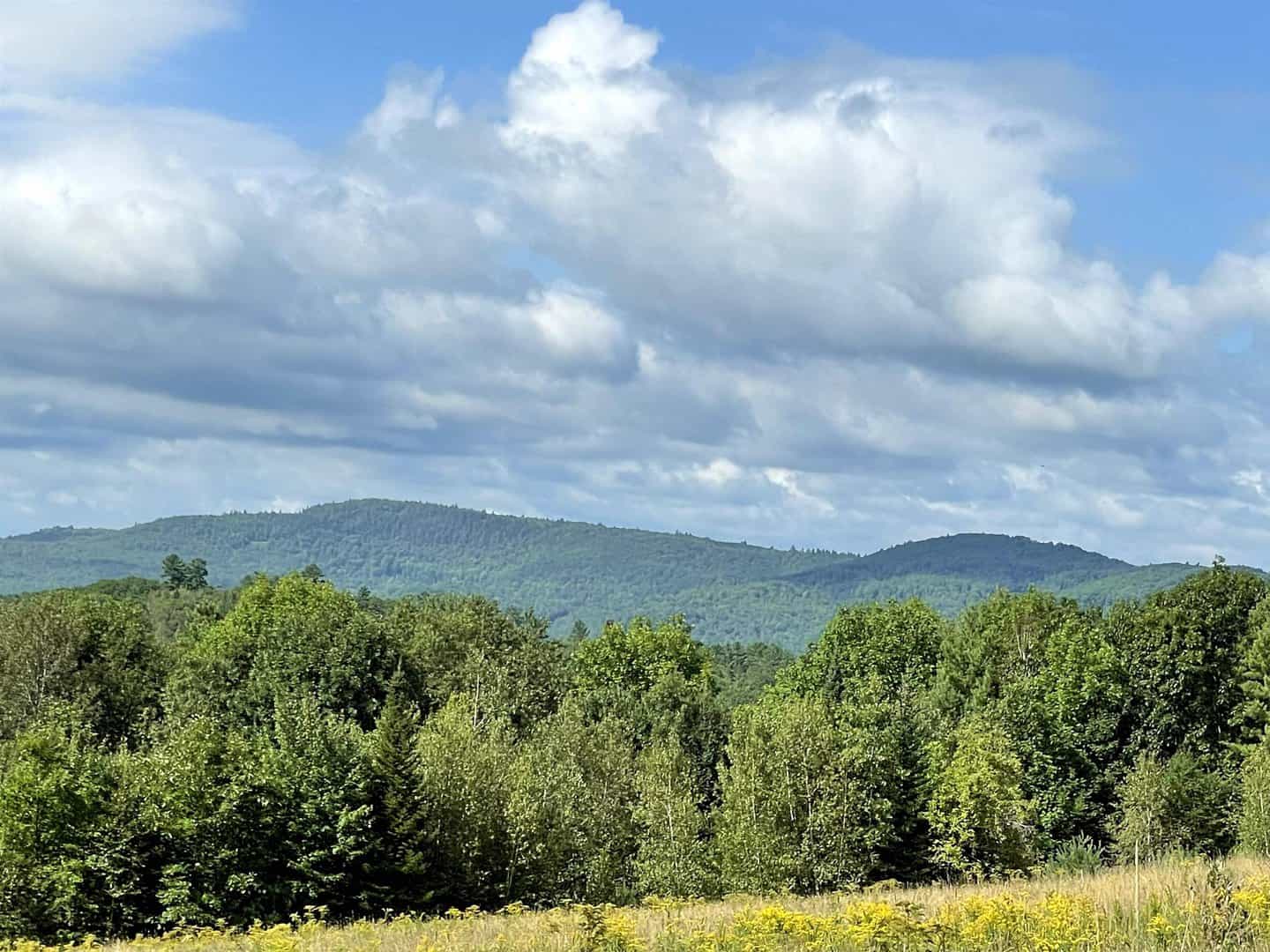 Littleton