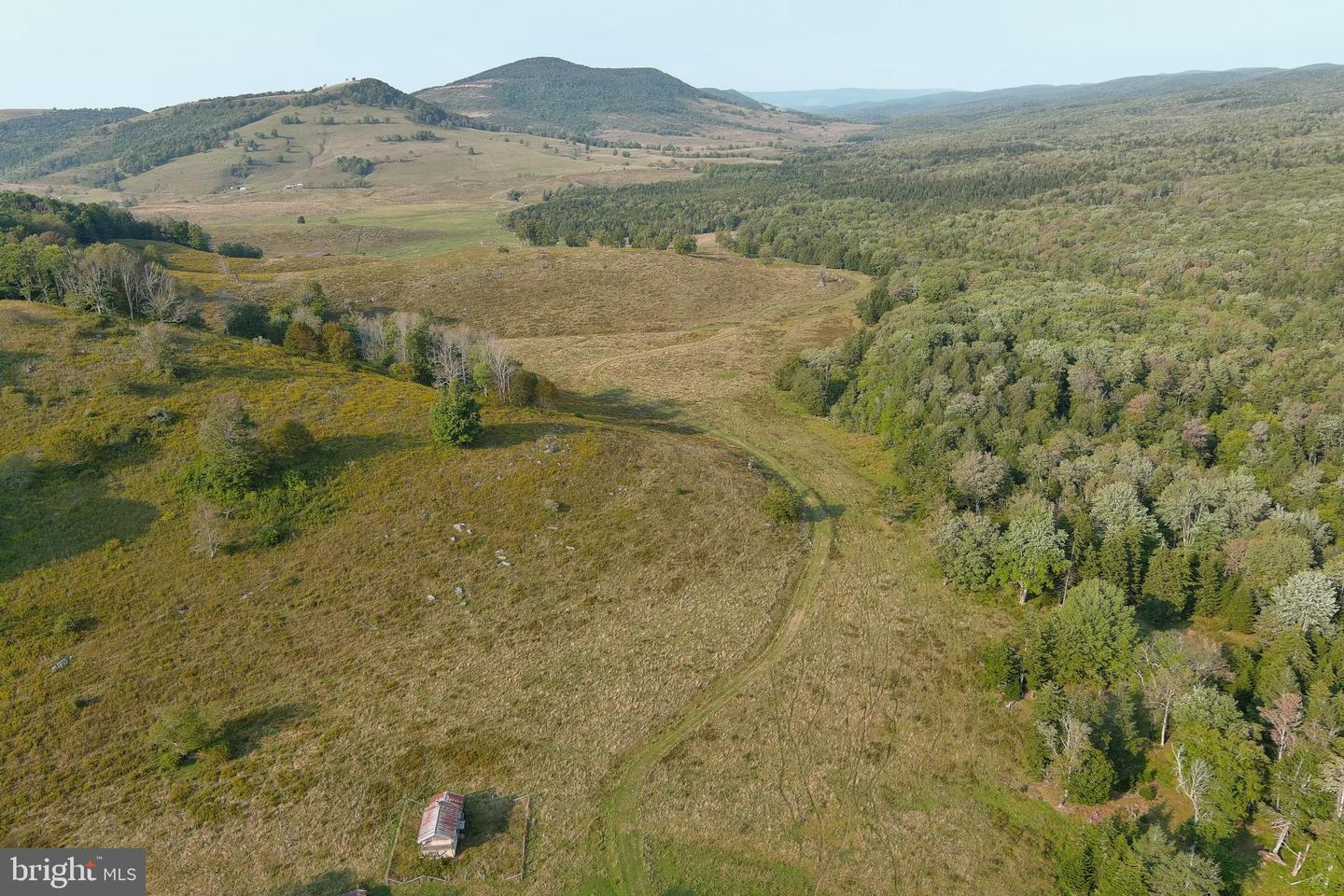 Listings for Zach Wesolowski