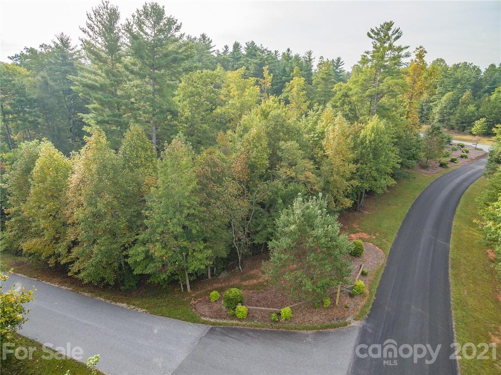 Listings for Dave Dribbon