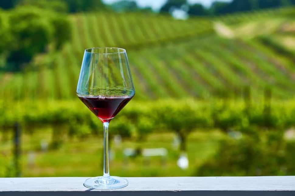Wine Country
