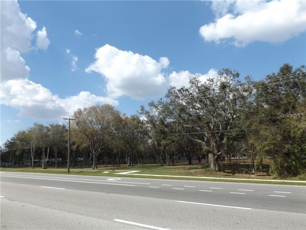 Tampa