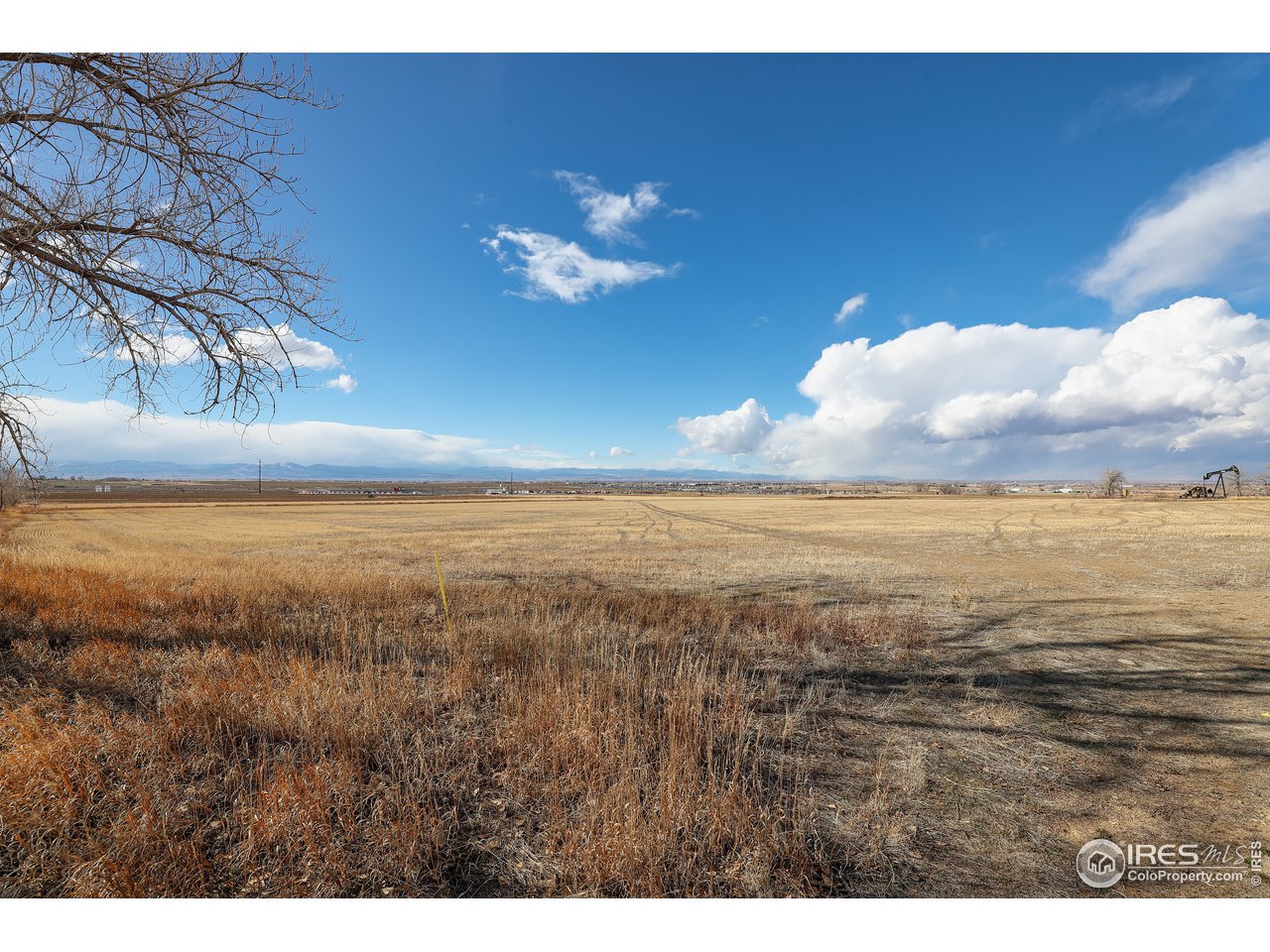 Listings for Lindsey Sampier Baker