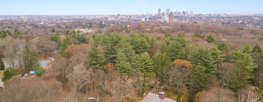 Listings for Jared Curtis