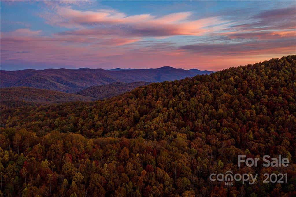 Listings for Kim Moorrees