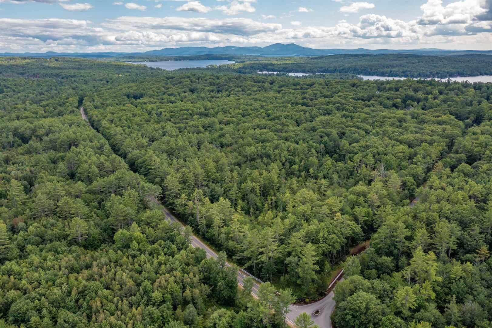 Waterfront Homes with a Dock