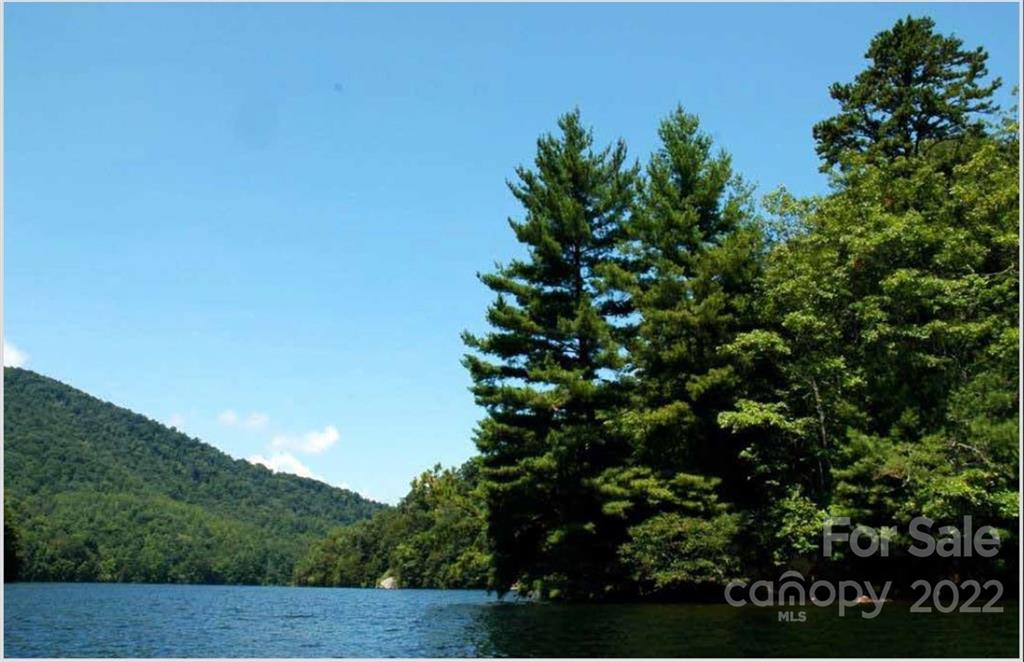 Listings for William Jameson