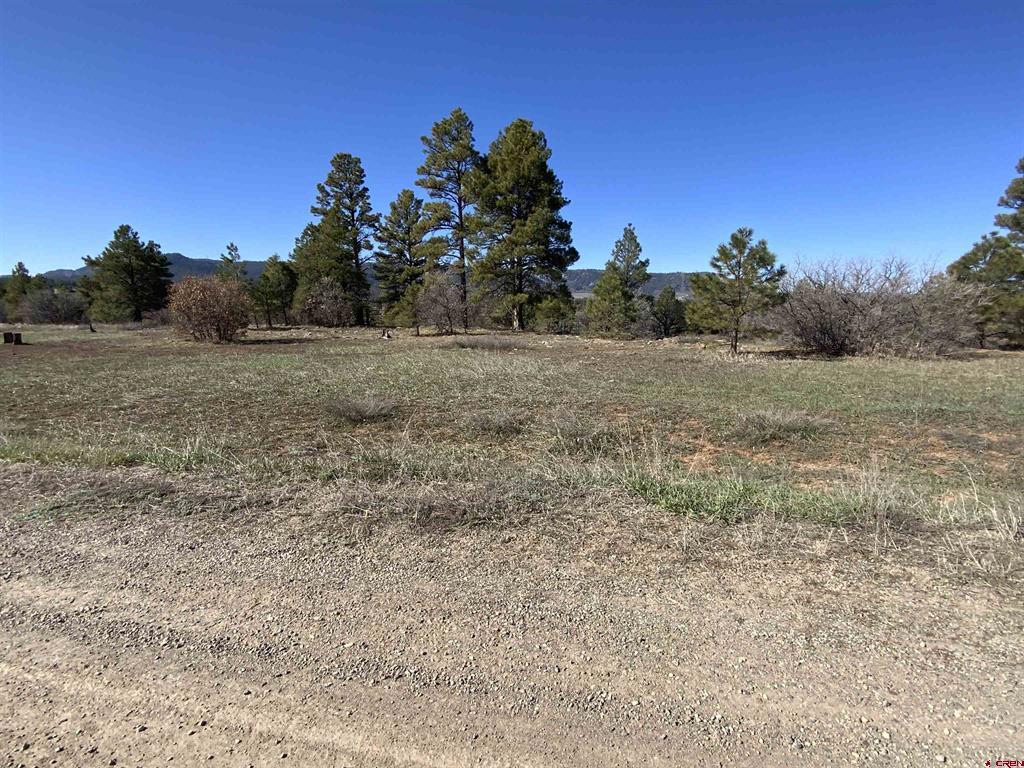 Listings for Clint Wilson