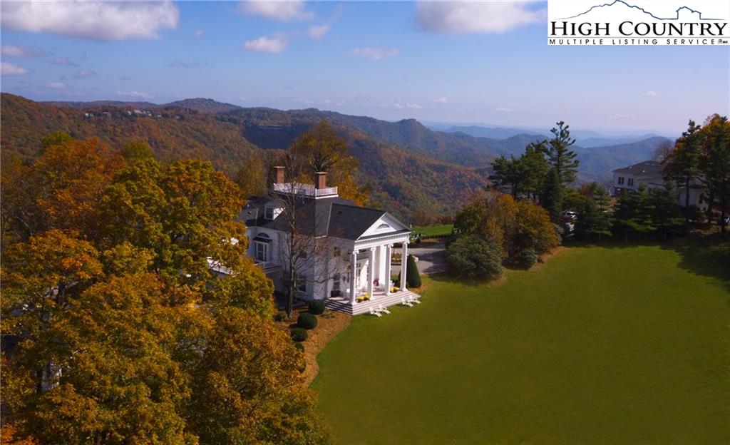 Luxury/Estate Homes