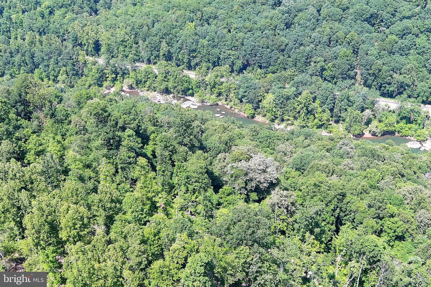 Listings for Steve Galusky