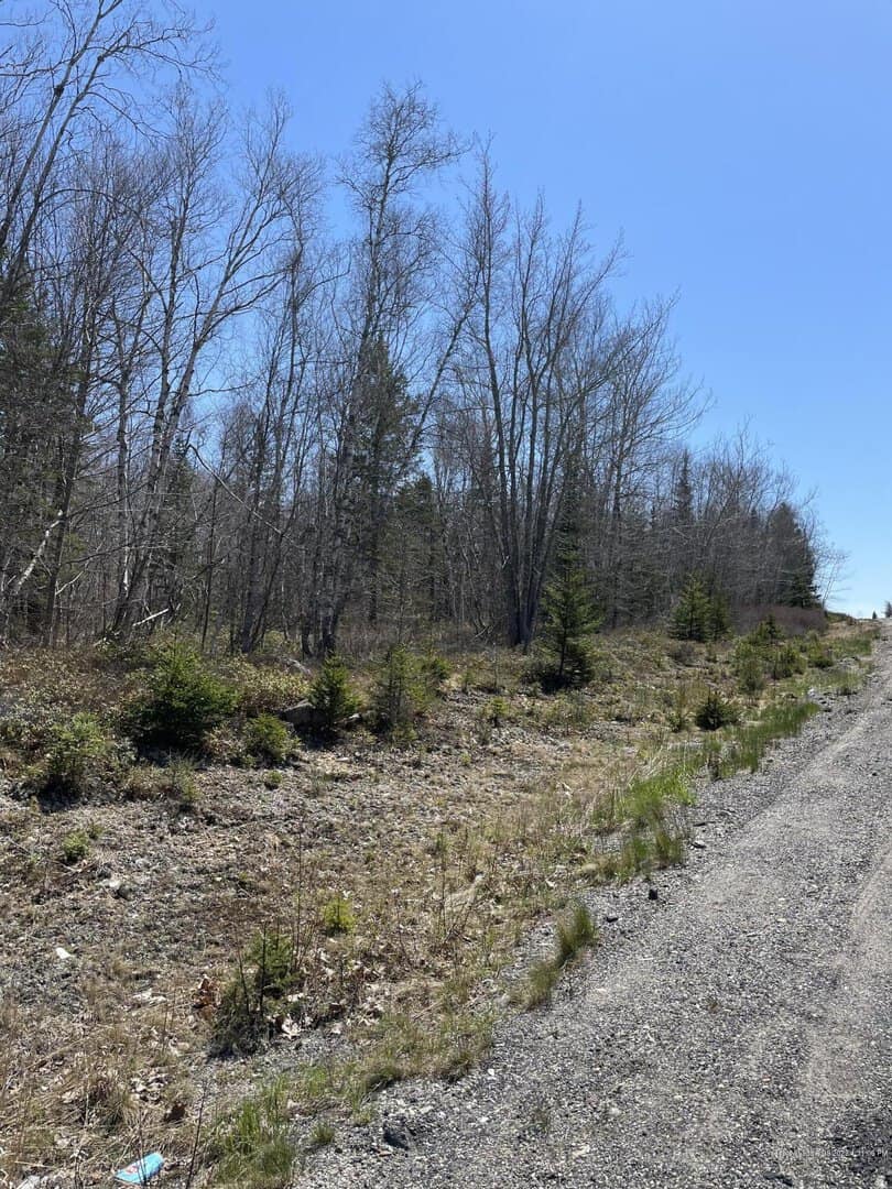 Listings for Coleene DelConte