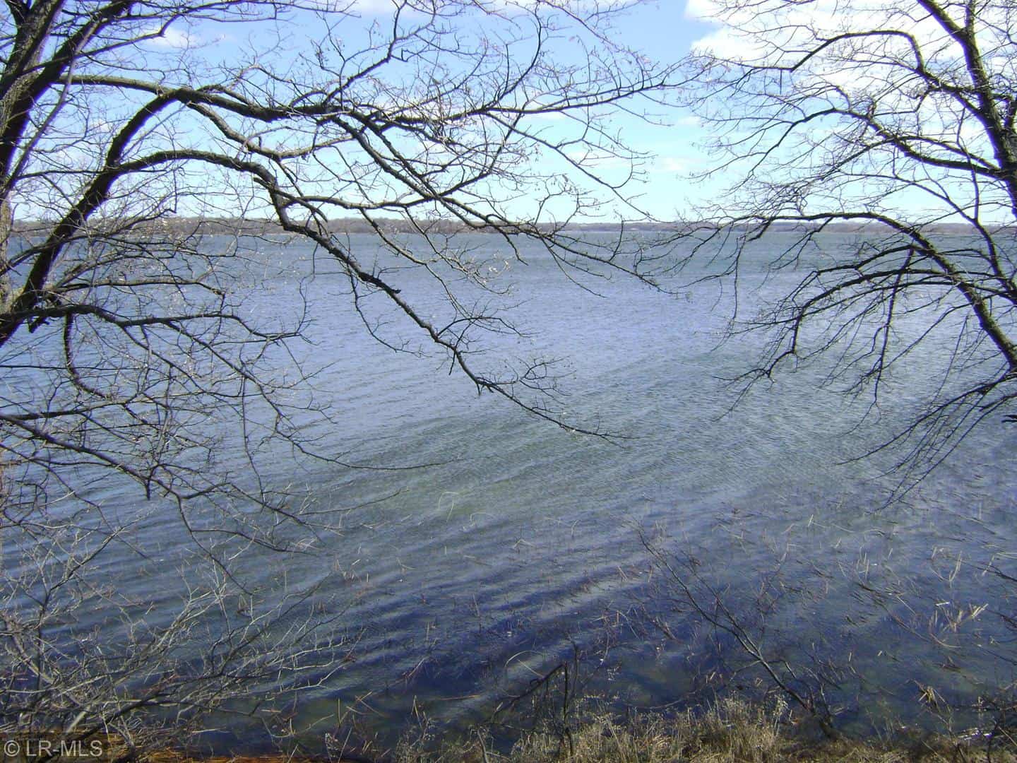 Listings for DONNA GROVER