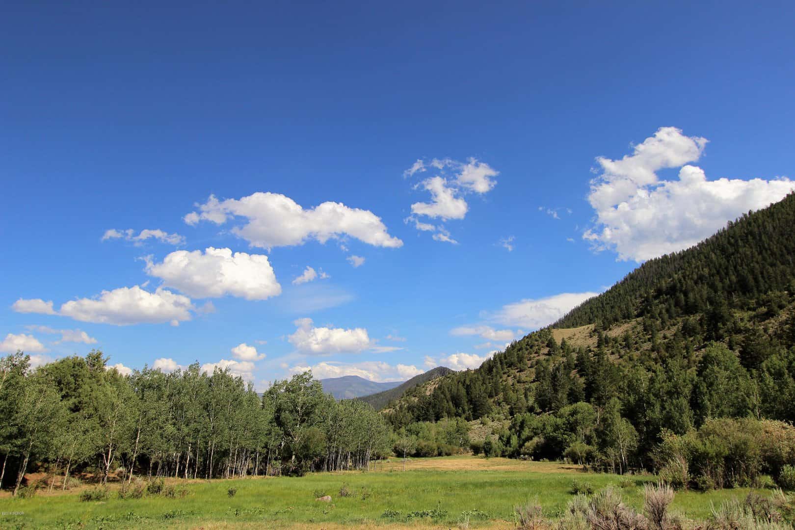 Listings for Shana Roehrs