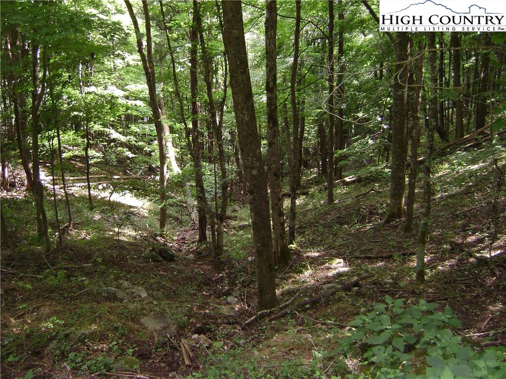 Listings for Kivi Sherman