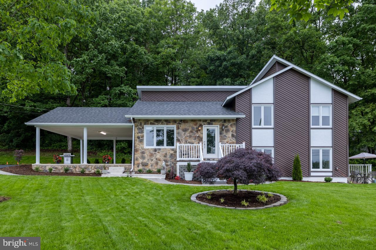 Listings for Chase Louderback
