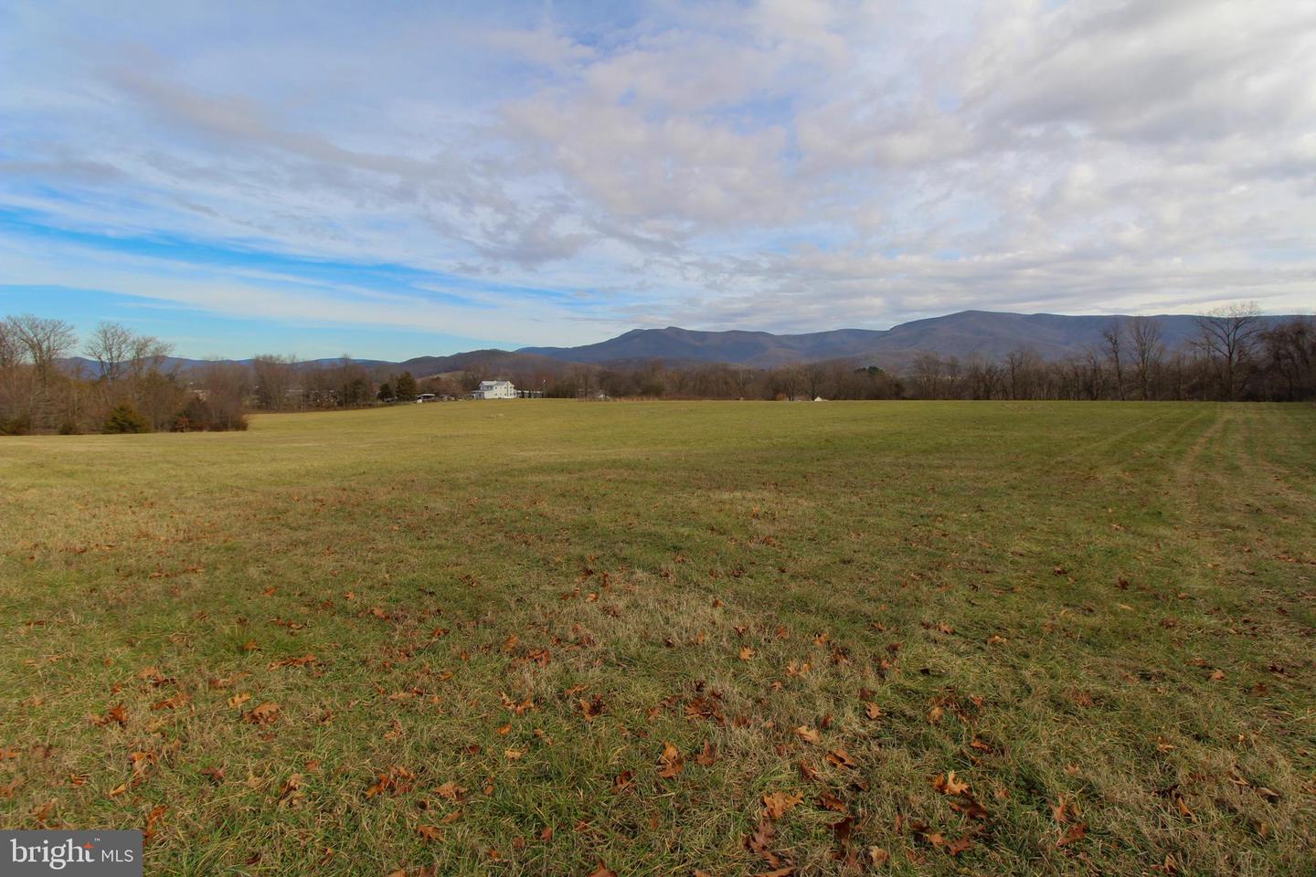 Listings for Sable Ponn