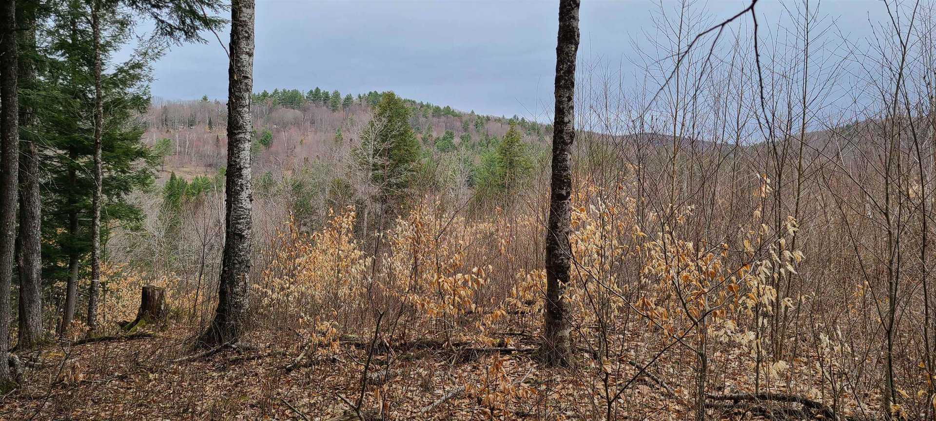 Listings for Colton LeBoeuf