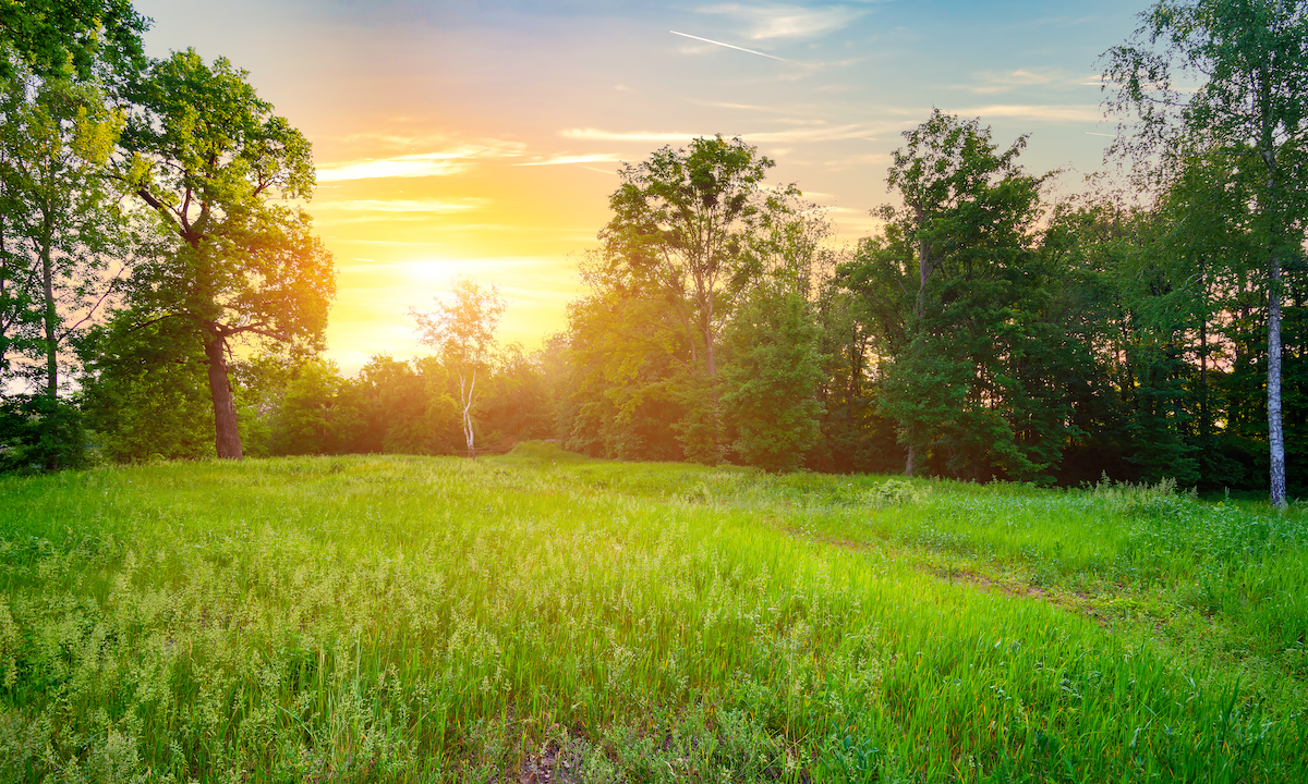 Acreage Properties 