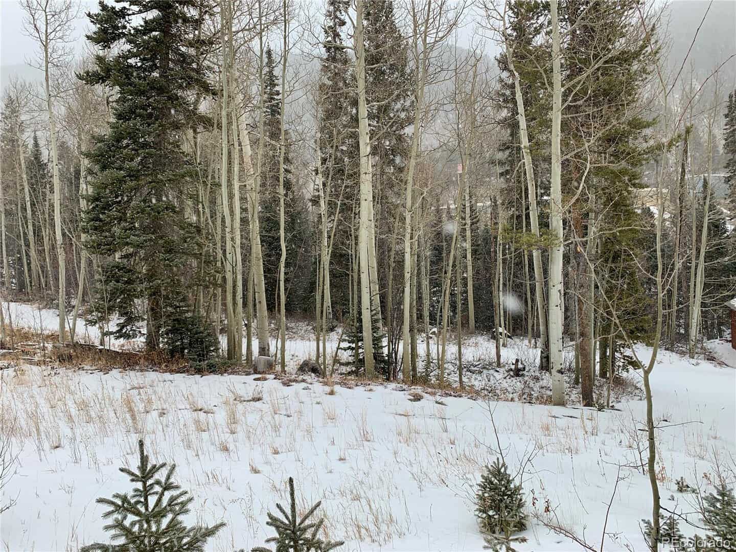 Garfield, CO