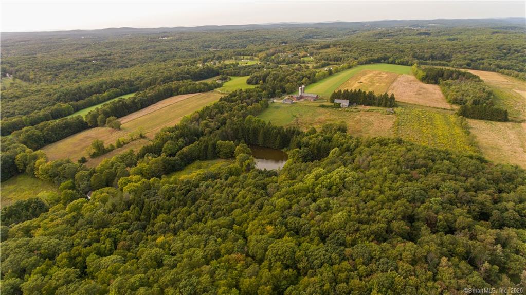 Litchfield