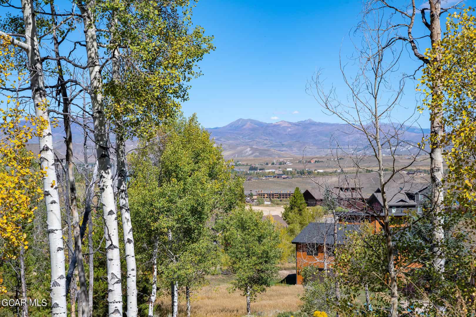 Listings for Christina Lieder