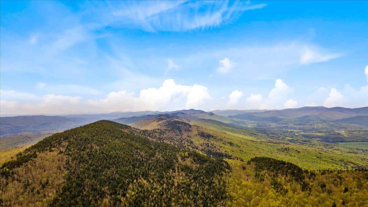 View All