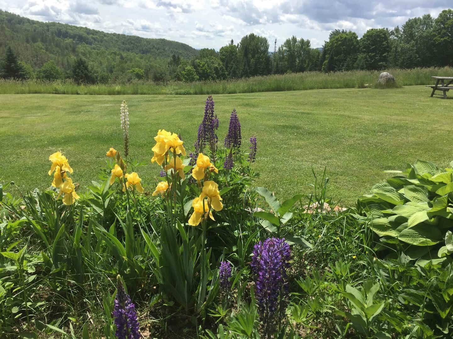 Bradford VT House Real Estate for Sale