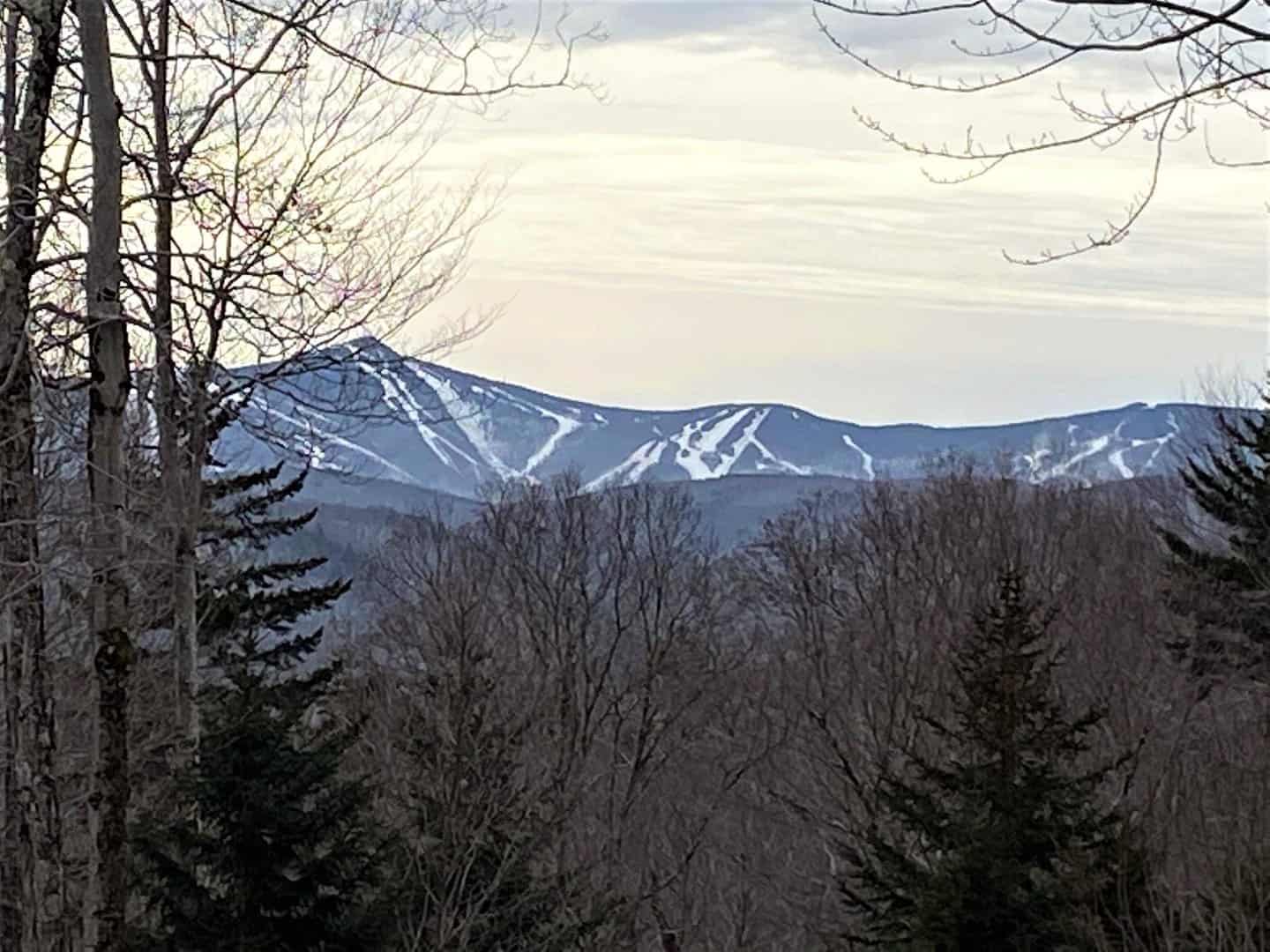 Bridgewater VT Land Real Estate for Sale