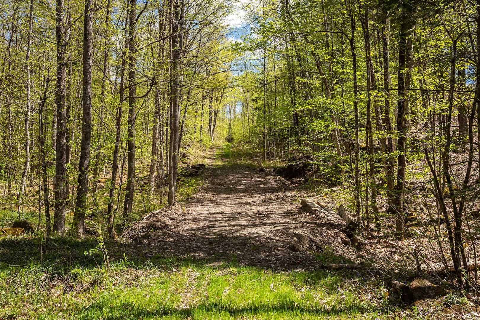 Reading VT Land Real Estate for Sale
