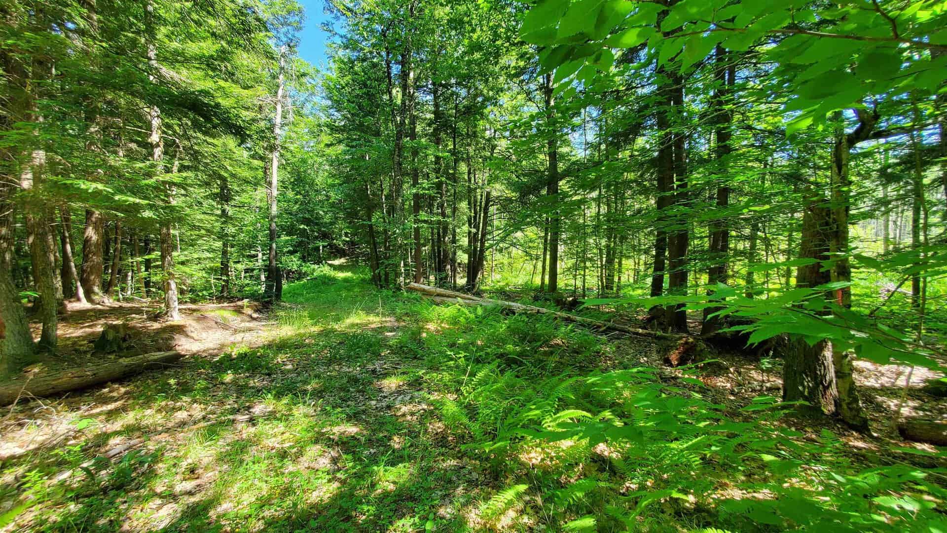 Thetford VT Land Real Estate for Sale