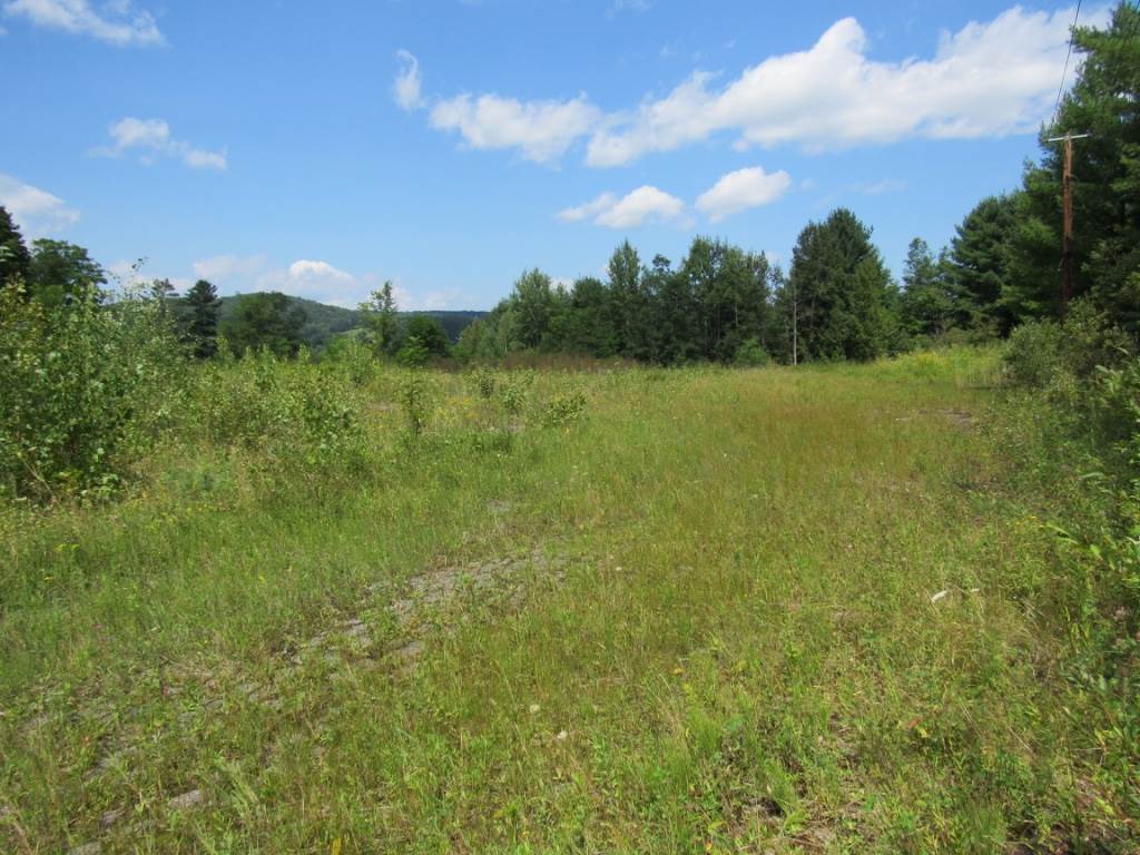Woodstock VT Commercial Real Estate for Sale