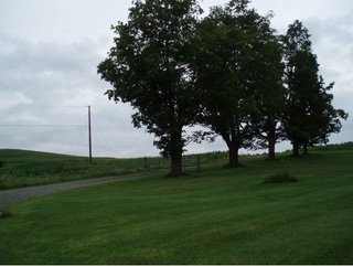 Land