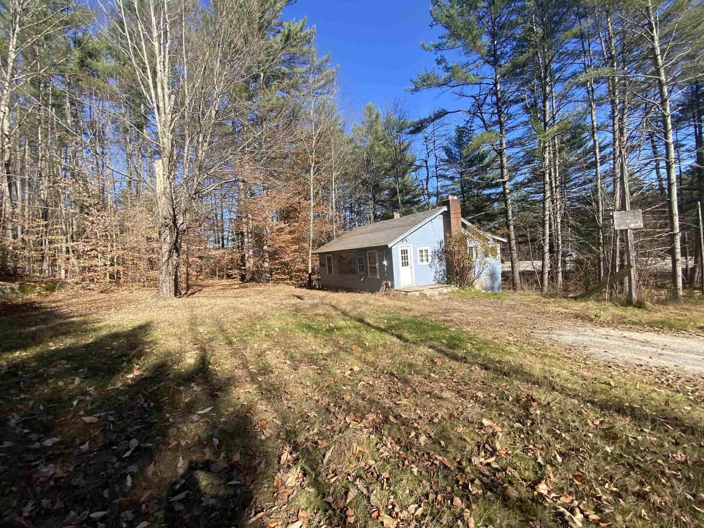 Listings for Deirdre Braun