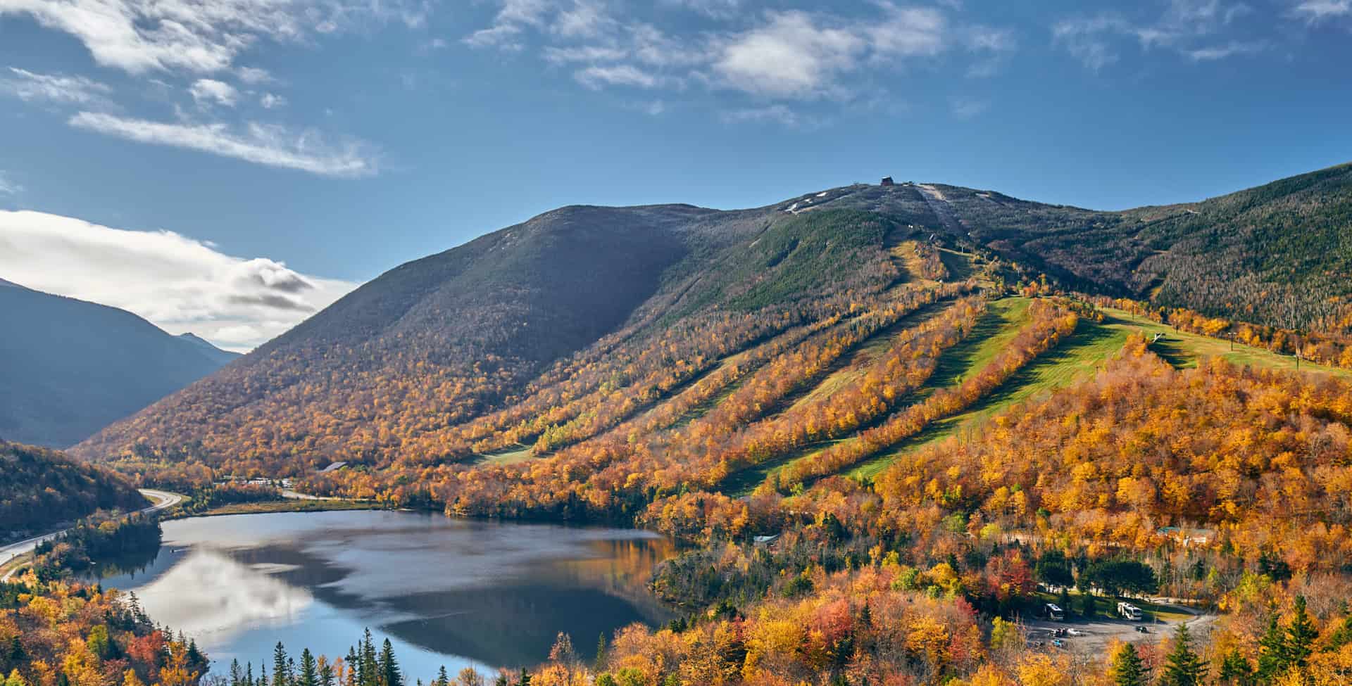 Listings for James Mardis