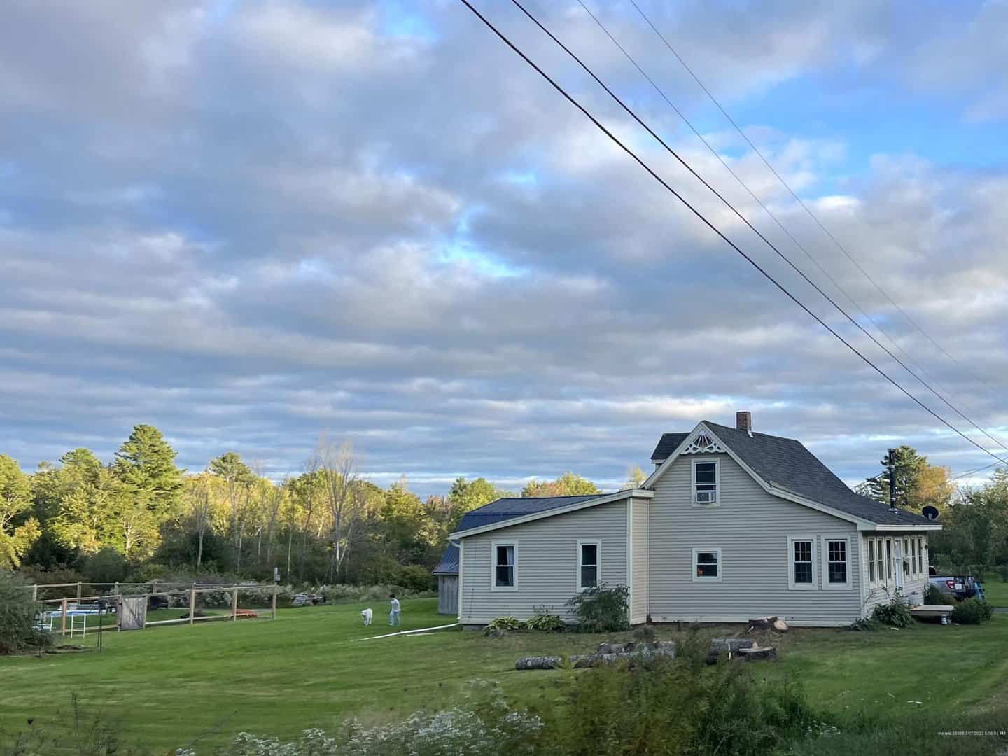 Listings for Alicia Allard