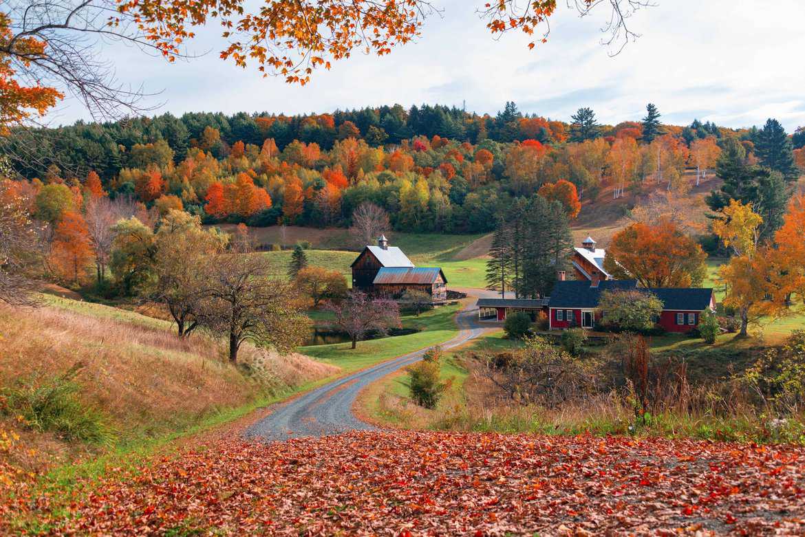 Other VT Towns