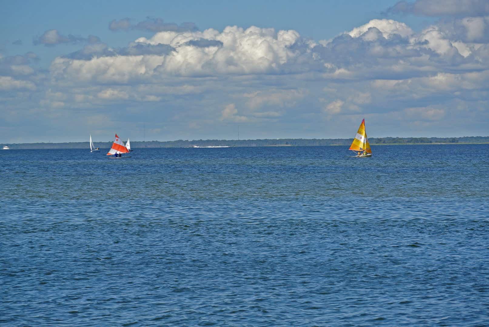 LBI Locations - Benée Scola & Company Realtors