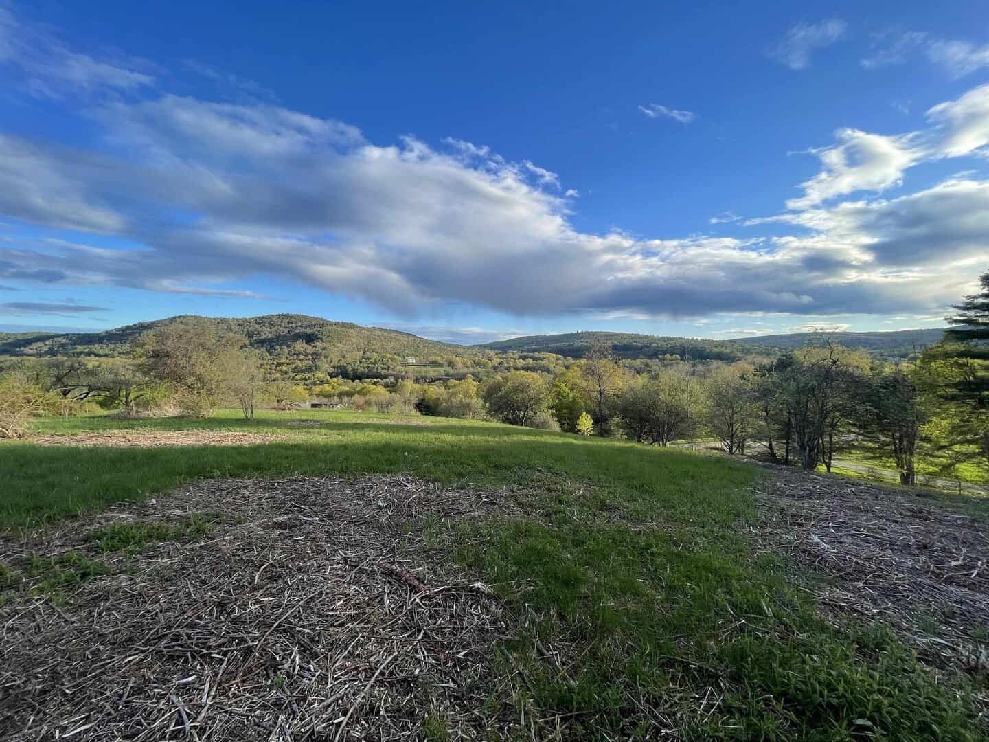 Land