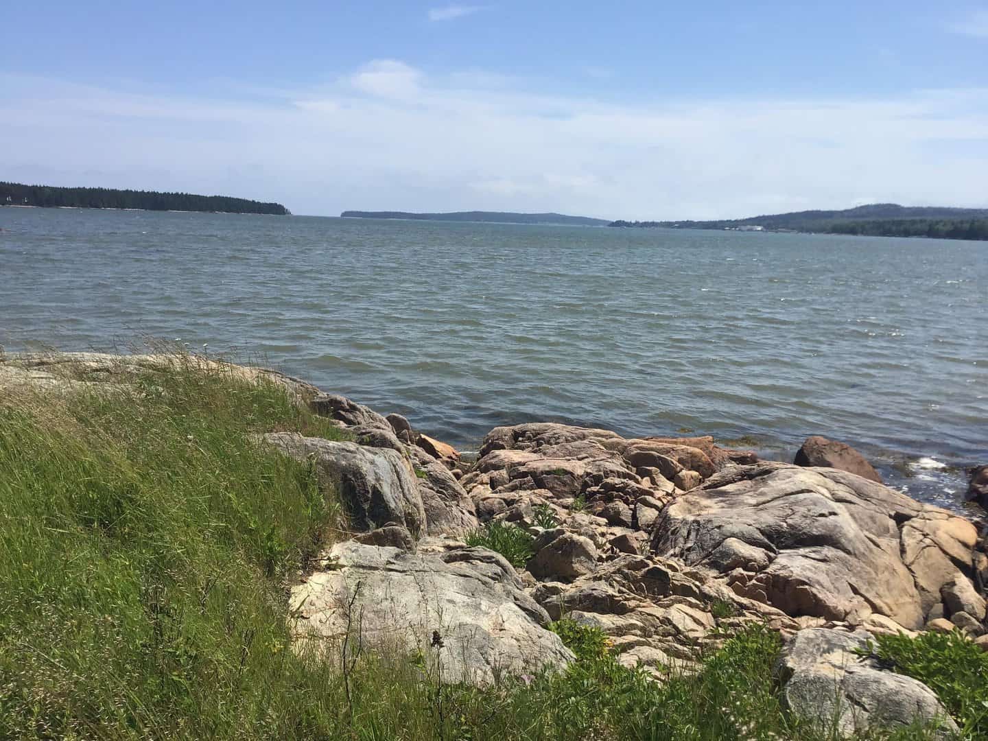 Listings for Michelle Alley