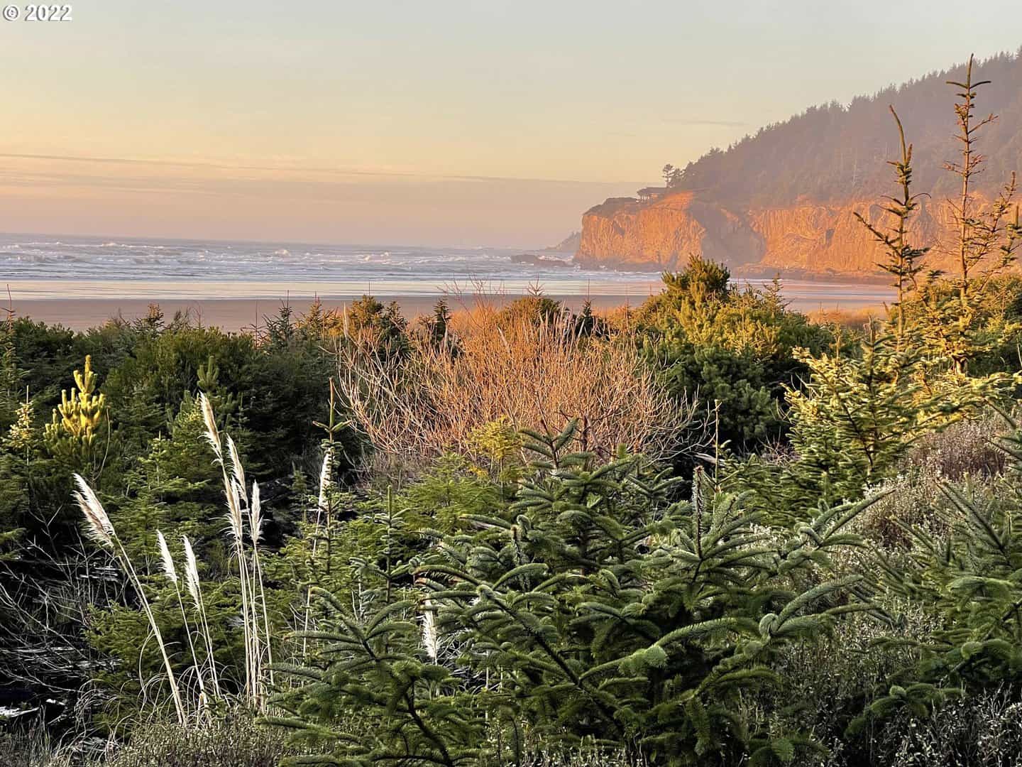 Bandon