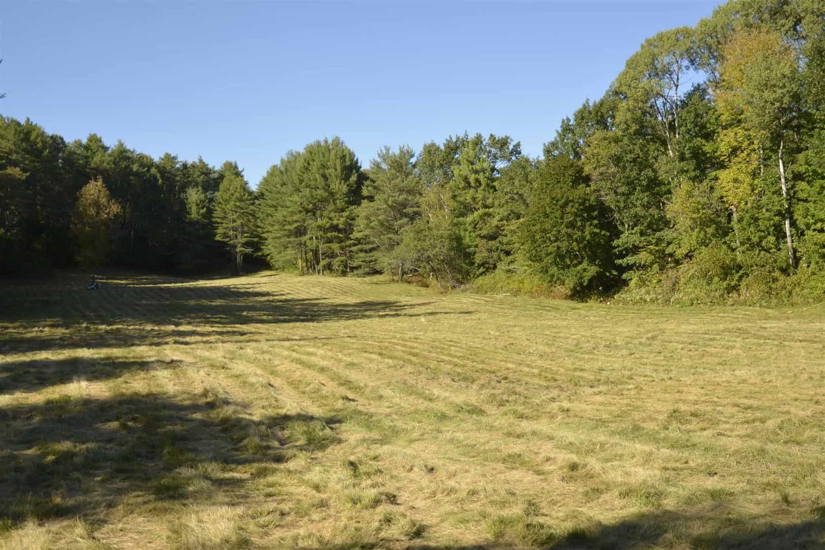 Land for Sale in Middlesex VT